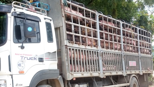 Kiểm tra chặt thực phẩm tươi sống nhập khẩu