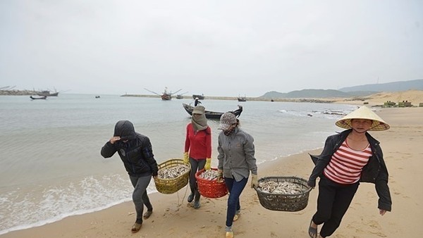 Hà Tĩnh kỷ luật hàng loạt cán bộ liên quan đến vụ Formosa