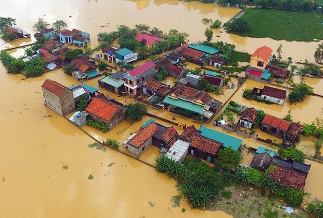Bộ GD&ĐT kêu gọi các trường miễn giảm học phí cho sinh viên vùng lũ Bộ GD&ĐT kêu gọi các trường miễn giảm học phí cho sinh viên vùng lũ
