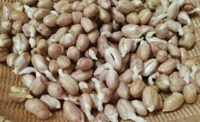 Những thực phẩm 'cực quen' dễ gây ngộ độc, thậm chí mất mạng Những thực phẩm 'cực quen' dễ gây ngộ độc, thậm chí mất mạng