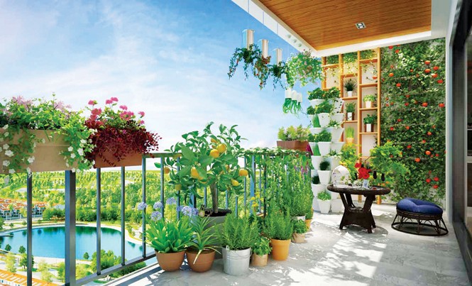 Anland Complex - Căn hộ cao cấp cho gia đình trẻ Ban công xanh cho gia đình những giây phút thư giãn, hòa cùng thiên nhiên.