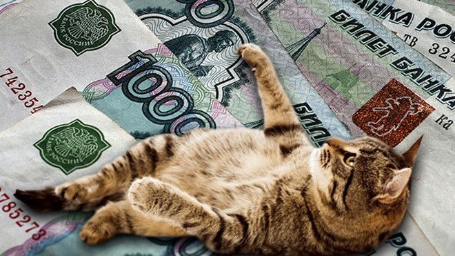 Mèo nhận lương 400 nghìn rúp/năm Mèo nhận lương 400 nghìn rúp/năm