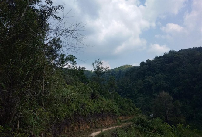 Khởi tố giám đốc Văn phòng đăng ký đất đai ở Lạng Sơn Khu rừng rộng hàng trăm héc ta này đã được cấp trái phép cho 7 hộ dân “nhảy dù”. Ảnh: Duy Chiến
