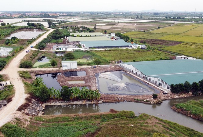Dân khổ vì trang trại lợn gây ô nhiễm Toàn cảnh 8 trang trại chăn nuôi lợn tại xã Dũng Tiến (Vĩnh Bảo, Hải Phòng)