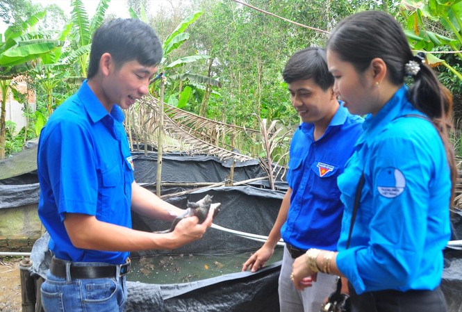 Bí thư Chi đoàn nuôi ếch giỏi, thu nhập trăm triệu Bí thư Chi đoàn Võ Văn Út Em giới thiệu kỹ thuật nuôi ếch Ảnh: Hòa hội