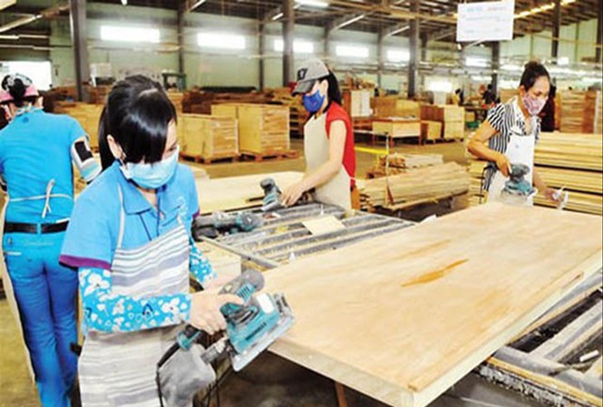  Ngành gỗ Việt Nam nguy cơ bị gỗ Trung Quốc “rửa” xuất xứảnh minh họa 
