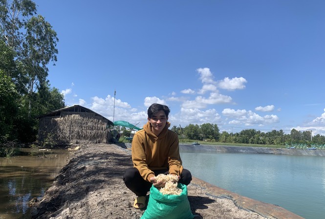 Ý tưởng độc đáo: Biến vỏ tôm cua thành nhựa sinh học Bạn Nguyễn Phương Khánh với vỏ tôm nguyên liệu để sản xuất nhựa