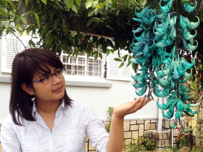 Loài hoa mang tên chúa sơn lâm Loài hoa mang tên chúa sơn lâm