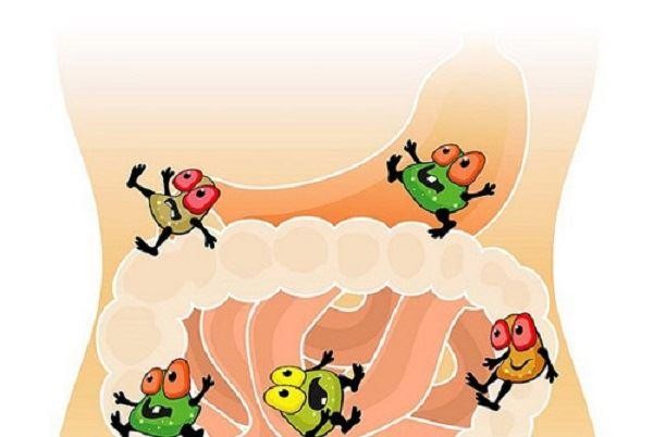 Cha mẹ cần làm gì khi trẻ bị rối loạn tiêu hóa kéo dài? Loạn khuẩn đường ruột sẽ gây rối loạn tiêu hóa
