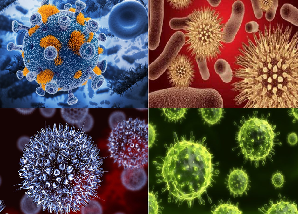 Làm sao để kiểm soát các bệnh ngoài da do virus Hình ảnh một số loại virus gây bệnh ngoài da