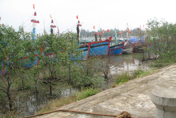 Thanh Hóa cấm biển, 3 tàu cá mất liên lạc Thanh Hóa cấm biển, 3 tàu cá mất liên lạc