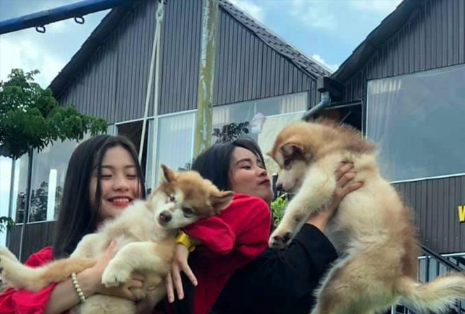 Cà phê thú cưng: Quen mà lạ trên xứ Bazan Bạn trẻ thích thú khi được ôm chú chó dễ thương