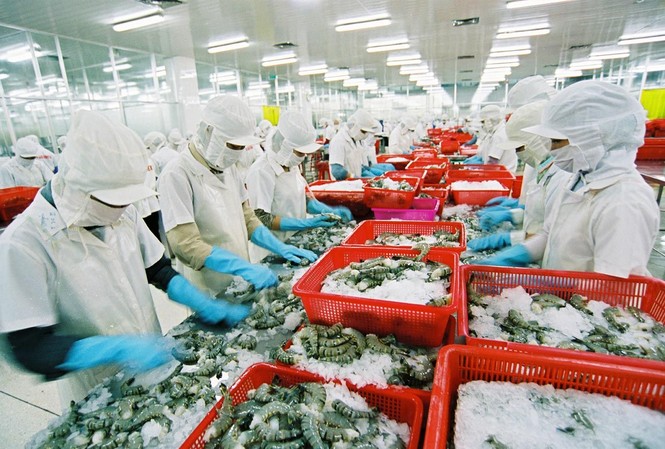 Xuất khẩu nông lâm thủy sản đạt 17,8 tỷ USD Xuất khẩu thủy sản đã có tín hiệu khả quan, khi kim ngạch tăng trở lại trong 7 tháng đầu năm nay.