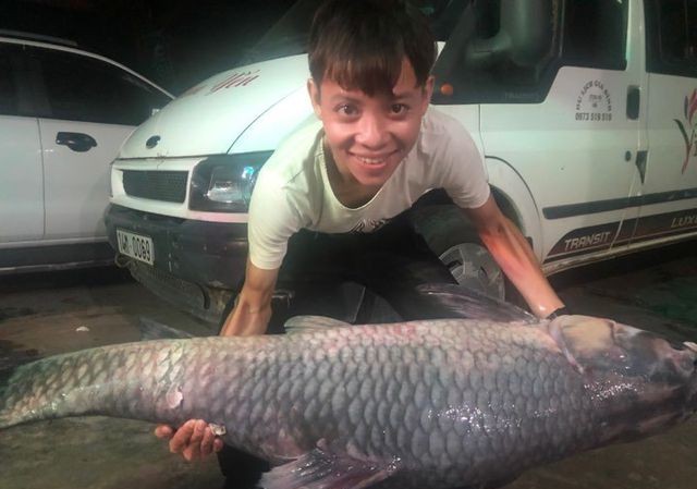 Bắt được cá trắm đen “khủng” nặng 50kg, dài 1,6m ở Yên Bái Con cá trắm đen có trọng lượng 50kg, dài 1,6m được ngư dân đánh bắt ở hồ Thác Bà (Yên Bái) vào đêm 8/7 vừa qua.
