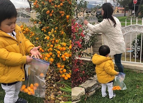 VIDEO: Con trai Đan Trường cùng mẹ tất bật chuẩn bị cho Tết cổ truyền VIDEO: Con trai Đan Trường cùng mẹ tất bật chuẩn bị cho Tết cổ truyền