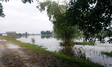 Phát hiện thi thể hai bé gái dưới hồ nước Ảnh minh họa
