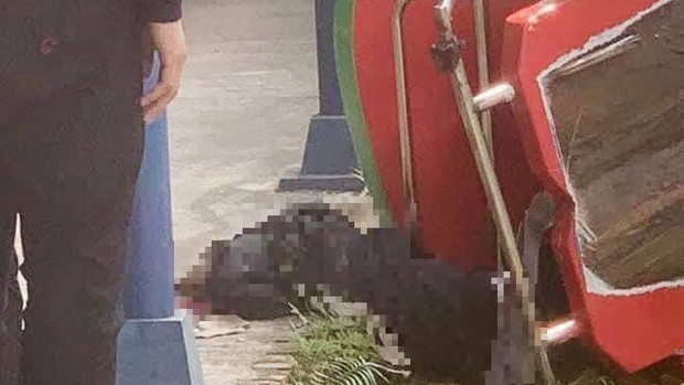 Ông nội của nam sinh tử vong vì tàu lượn siêu tốc trượt đường ray: 'Chưa đoạn tang con lại mất cháu...' Gia đình cháu A. buồn bã khi nhắc đến vụ việc.