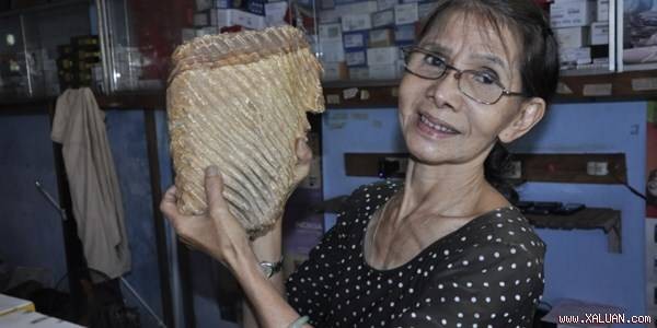 Bí ẩn “hàm răng” cổ khổng lồ tại Bình Phước Bà Diễm và hàm răng cổ. Ảnh: Lê Anh