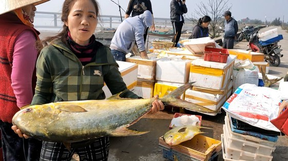 Trúng đậm mẻ cá chim vàng, một đêm ngư dân thu về hơn nửa tỷ đồng Trúng đậm mẻ cá chim vàng, một đêm ngư dân thu về hơn nửa tỷ đồng