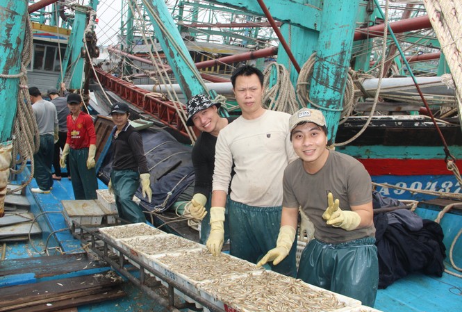 Ngư dân Nghệ An trúng đậm cá trỏng phục vụ thị trường Tết Ngư dân Nghệ An trúng đậm cá trỏng phục vụ thị trường Tết