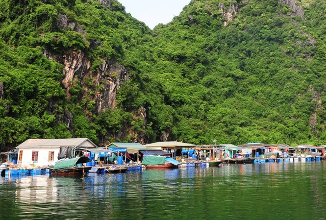 Tỉnh Quảng Ninh yêu cầu tạm dừng tăng phí vịnh Hạ Long Tỉnh Quảng Ninh yêu cầu tạm dừng tăng phí tham quan vịnh Hạ Long