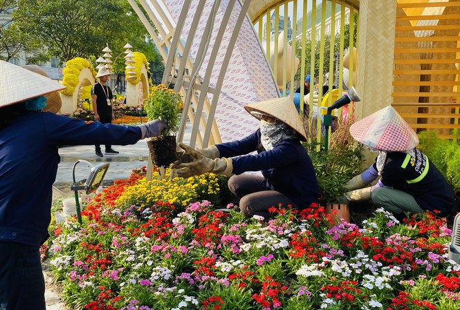 Công nhân 'chạy nước rút' trước giờ khai mạc đường hoa Nguyễn Huệ Công nhân 'chạy nước rút' trước giờ khai mạc đường hoa Nguyễn Huệ