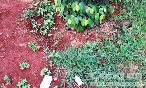 Xác người phụ nữ trong vườn với con dao trên ngực Hiện trường phát hiện thi thể bà Phụng - Ảnh: cơ quan chức năng cung cấp