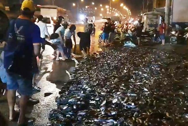 Xe tải lật ngang, gần 3 tấn cá rô bò lổn nhổn trên quốc lộ Xe tải lật ngang, gần 3 tấn cá rô bò lổn nhổn trên quốc lộ