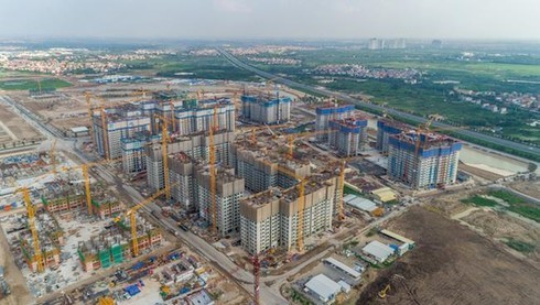 Công ty T&T nợ thuế gần trăm tỷ đồng Công ty T&T nợ thuế gần trăm tỷ đồng