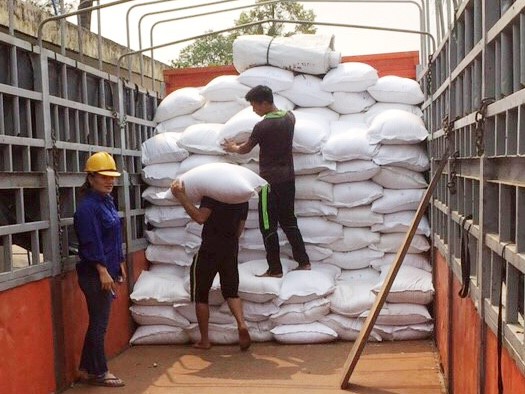 Đấu thầu lại gạo dự trữ: Nâng mức bảo lãnh dự thầu, tránh vết xe đổ Công nhân bốc xếp gạo từ kho dự trữ quốc gia