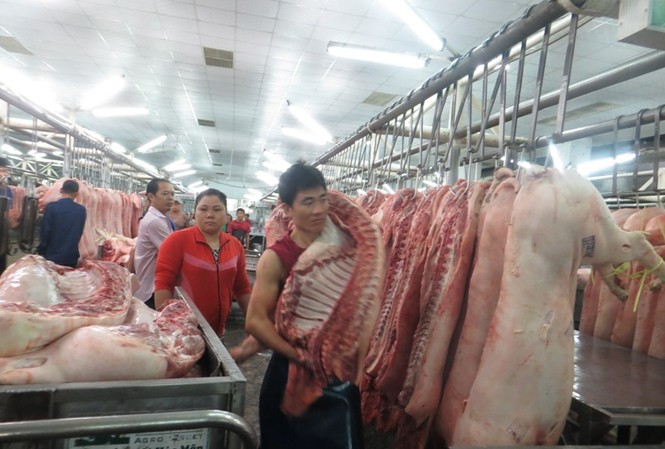 TPHCM muốn bán thịt heo như… chứng khoán TPHCM sẽ bán thịt heo như... chứng khoán
