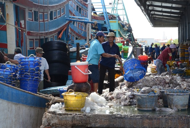 Bà Rịa–Vũng Tàu: Thu ngân sách đạt thấp do ảnh hưởng mạnh từ giá dầu thế giới Thu xuất nhập khẩu là một trong những khoản thu giảm thấp của tỉnh Bà Rịa - Vũng Tàu năm 2020