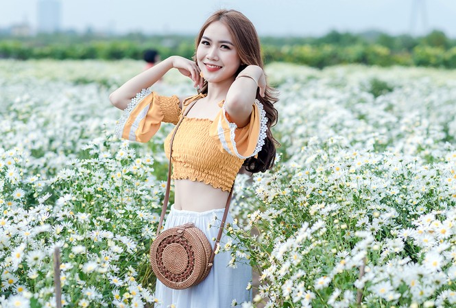 Thiếu nữ Hà thành khoe sắc bên vườn cúc họa mi Thiếu nữ Hà thành khoe sắc bên vườn cúc họa mi