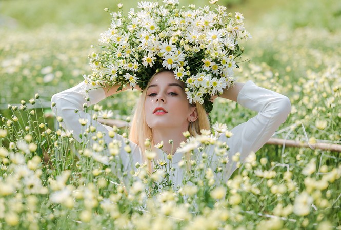 Thiếu nữ phương Tây khoe sắc giữa đồng hoa hoạ mi Hà thành Thiếu nữ phương Tây khoe sắc giữa đồng hoa hoạ mi Hà thành