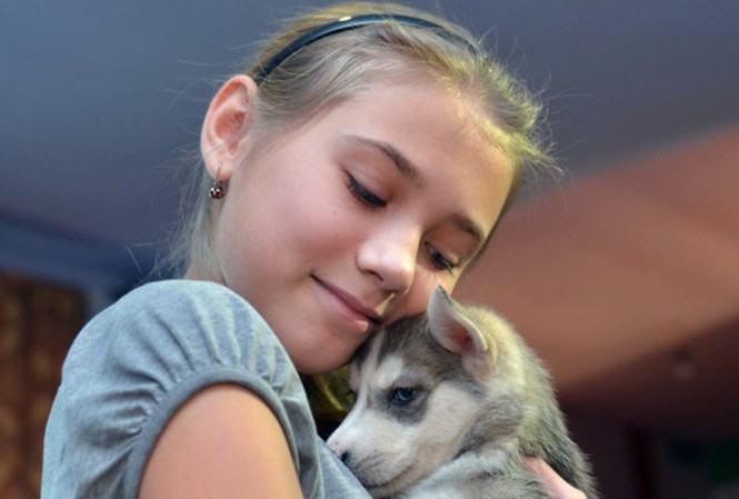 Bé gái nghèo được ông Putin tặng chó husky Bé Olga hạnh phúc bên chú chó do ông Putin tặng.