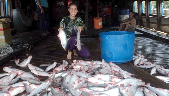 Bài học nào từ vụ án cá tra ở Nga? Nụ cười của người bán cá tra. Ảnh: Sáu Nghệ