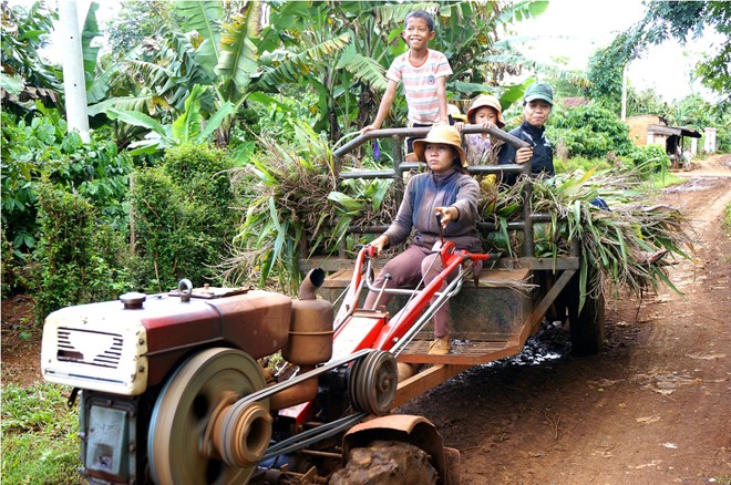 Những bóng hồng lái xe công nông Chị H’ Yim lái xe công nông đi lấy cây ngô cho bò. Ảnh: Djuang Yên