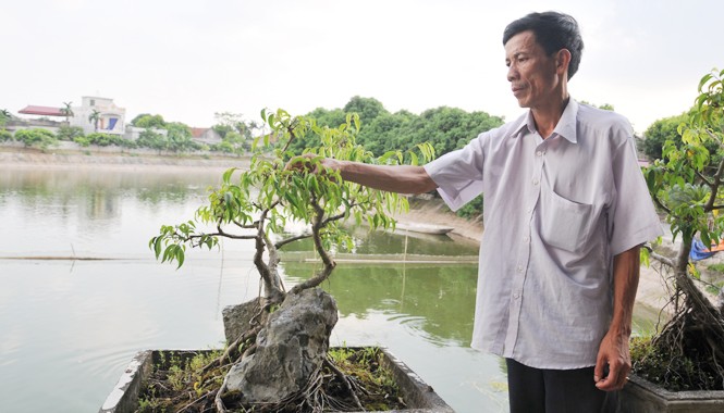 Những người biết vượt lên chính mình Ông Chương tỉa tót cho cây cảnh bên ao cá