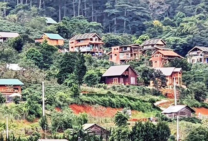 Tháo dỡ 12 căn nhà kiên cố tại ngôi làng 'mọc' chui trên đất rừng Nhiều căn nhà kiên cố, diện tích lớn xây "chui" tại tiểu khu 268.