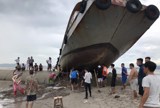 Kinh hãi cảnh tàu khách vắt vẻo trên đê lấn biển khi tránh bão Vào đêm 1/8, khi chạy vào bờ tránh trú bão, tàu khách Hoàng Vi 1 ở Quan Lạn (Quảng Ninh), đã... leo lên đê bao của một dự án lấn biển.