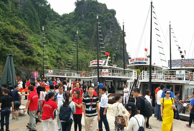 Vịnh Hạ Long: Phí liên tục tăng 'ngất ngưởng', chất lượng dịch vụ 'giậm chân' Vịnh Hạ Long: Phí liên tục tăng 'ngất ngưởng', chất lượng dịch vụ 'giậm chân'