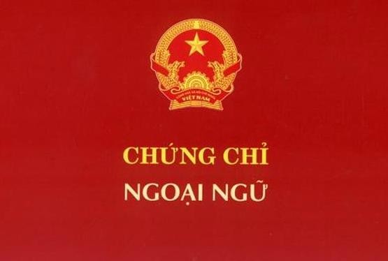 Dùng chứng chỉ giả, Trưởng phòng Quản lý đào tạo trường Chính trị bị kỷ luật Ảnh minh hoạ