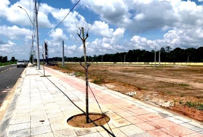 Xử lý trách nhiệm cán bộ liên quan sai phạm tại dự án quỹ đất Kon Tum Khu vực triển khai dự án quỹ đất phía Tây Quốc lộ 14.