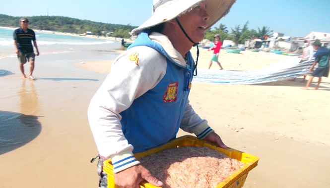 Ngư dân trúng đậm mùa ruốc Ngư dân vui mừng vì lộc biển đầu năm. Ảnh: Nguyễn Trang.