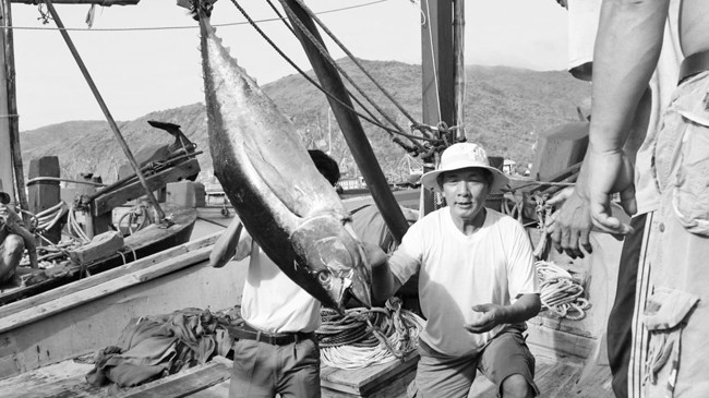 Phát triển kinh tế biển: Nặng khẩu hiệu, thiếu đột phá Nhiều ĐBQH đề nghị sửa Bộ luật Hàng hải, ngoài mục đích an ninh quốc phòng cần tạo điều kiện phát triển kinh tế biển. Ảnh: Hồng Vĩnh.