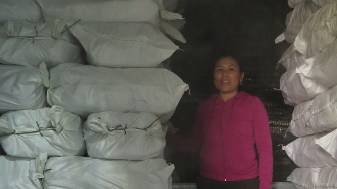 Quảng Bình tồn kho hàng nghìn tấn cá Các kho lạnh đang chất đống cá, không bán được.