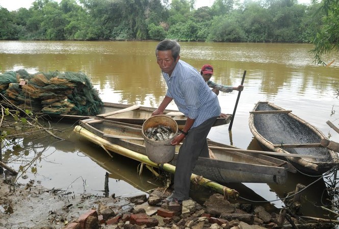 Cá chết hàng loạt do xả đập ồ ạt Người dân thu gom cá chết trên sông Sa Lung. Ảnh: Dân Việt
