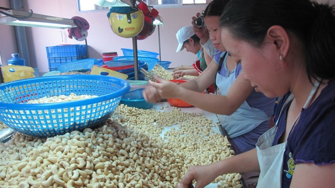 Giải “khát vốn” cho doanh nghiệp Có nhiều nguồn giải cơn “khát” vốn cho DNNVV như tham gia các hiệp hội, liên minh liên kết, Quỹ phát triển DNNVV…. Ảnh: U.Phương