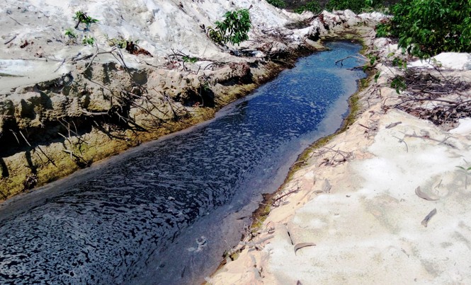 Cô, trò mang khẩu trang lên lớp Nước thải phân nặng mùi đen kịt, đầy ruồi nhặng bu bám, thuộc trại heo quy mô lớn của HTX Điền Hòa được xả ra môi trường tự nhiên.