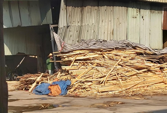 Nhà xưởng sai phép, nhả khói khét lẹt Nguyên vật liệu được tập kết về để sản xuất gỗ ép